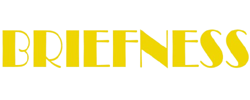 BRIEFNESS CONSTRUCTION LLC